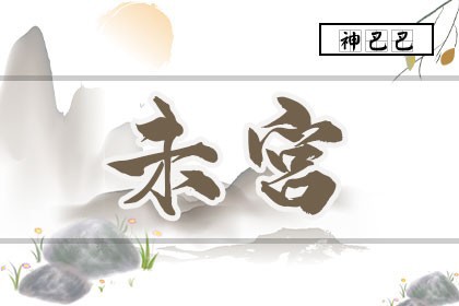 紫微排盘未宫怎么看_紫微斗数未宫详解_神巴巴测试网