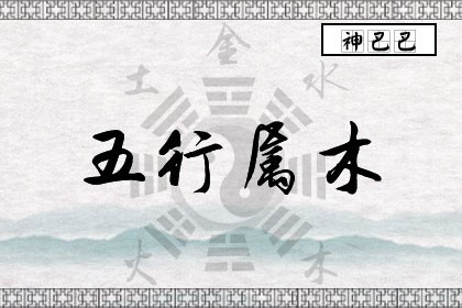 五行属木是什么意思_八字五行属木