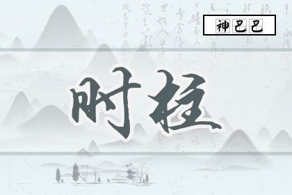 时柱是什么意思_时柱代表什么