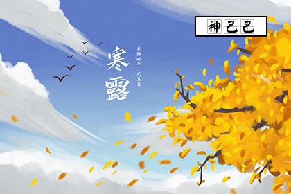 寒露节气的特点_寒露的来历和风俗_神巴巴测试网