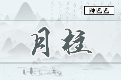 月柱是什么意思_月柱代表什么