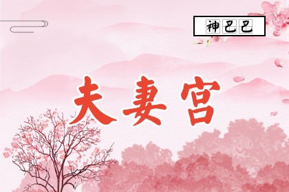 夫妻宫是什么意思_紫微斗数夫妻宫详解